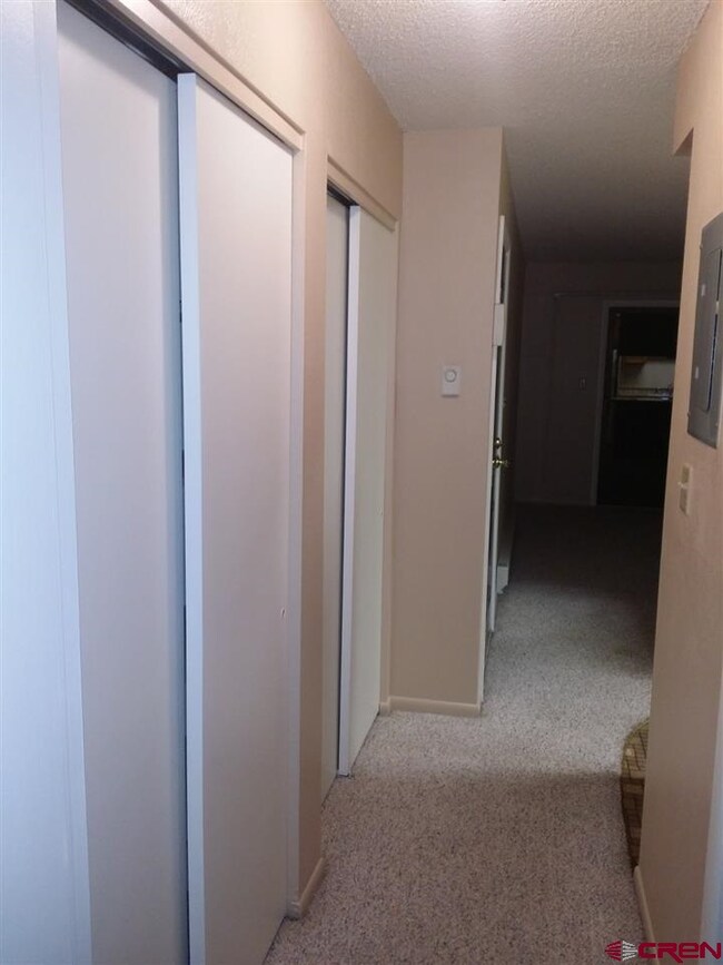 Hall with Closets for Storage
