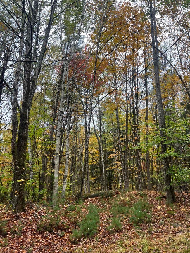 0 Freeman Colby Rd, Henniker, NH 03242 - photo 3