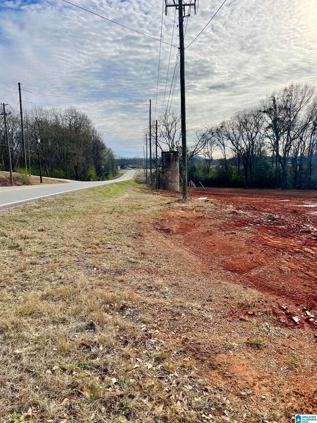 0 Haynes St unit 1 21423976, Talladega, AL 35160 - photo 4