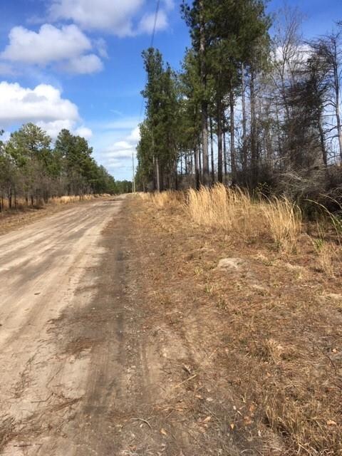 Lots 104 Colonial Coast Cir NE, Townsend, GA 31331 - photo 5