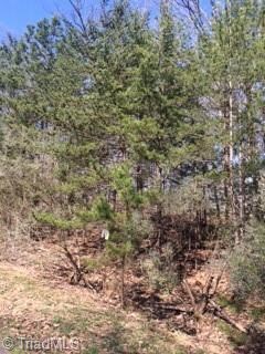 0 Canterbury Trail, Asheboro, NC 27205 - photo 5