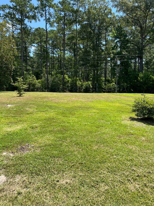 42 Wingate Dr, Many, LA 71449 - photo 6