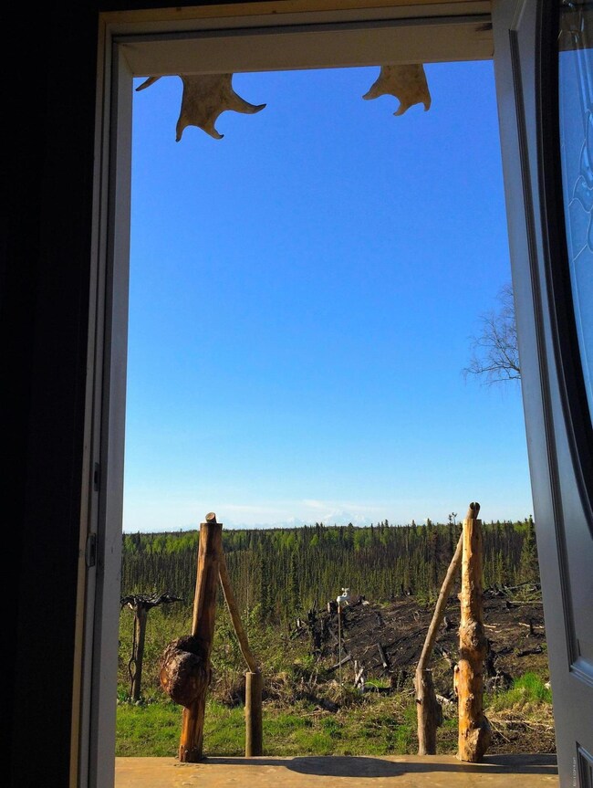 Alaskan View of Denali