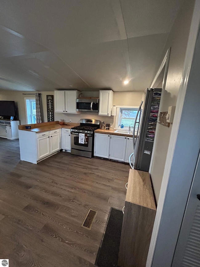 3780 E North County Line Rd, St. Louis, MI 48880 - photo 7