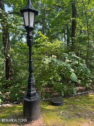 street pic lot 177 #1