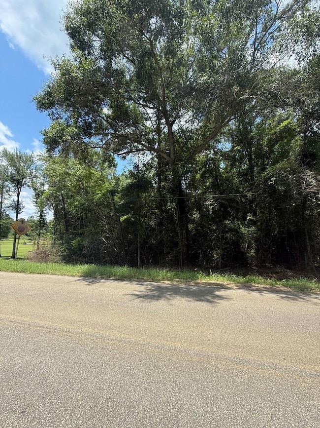 0 Sleepy Bear Rd, Norman Park, GA 31771 - photo 2