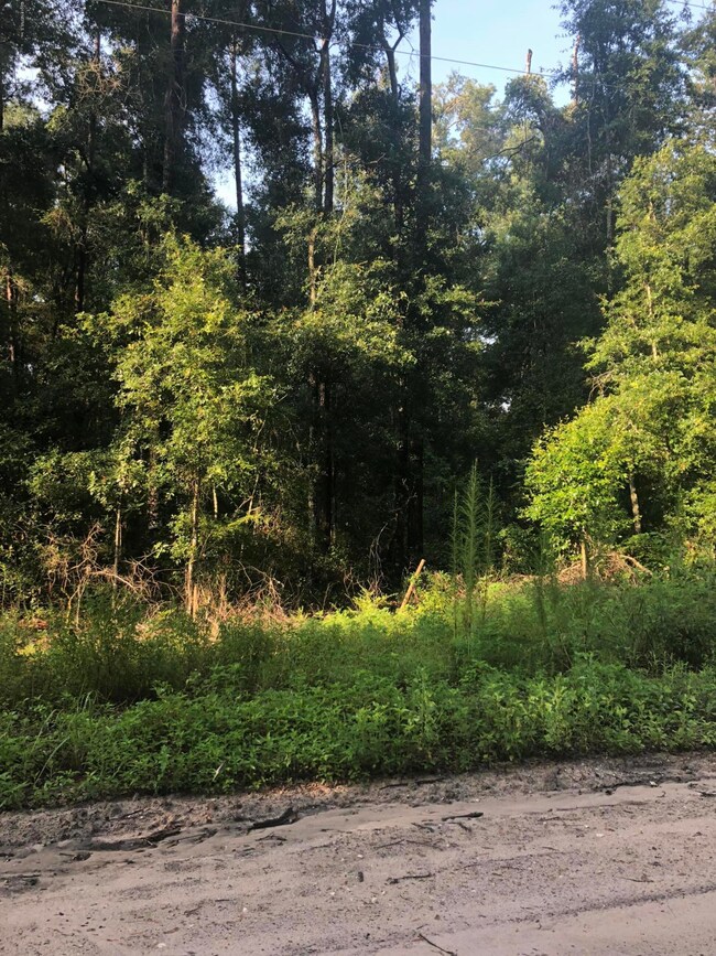 0 280th St unit 942810, Branford, FL 32008 - photo 5