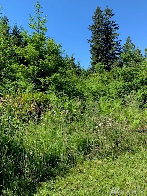 1402 Slide Creek Rd, Longview, WA 98632 - photo 5