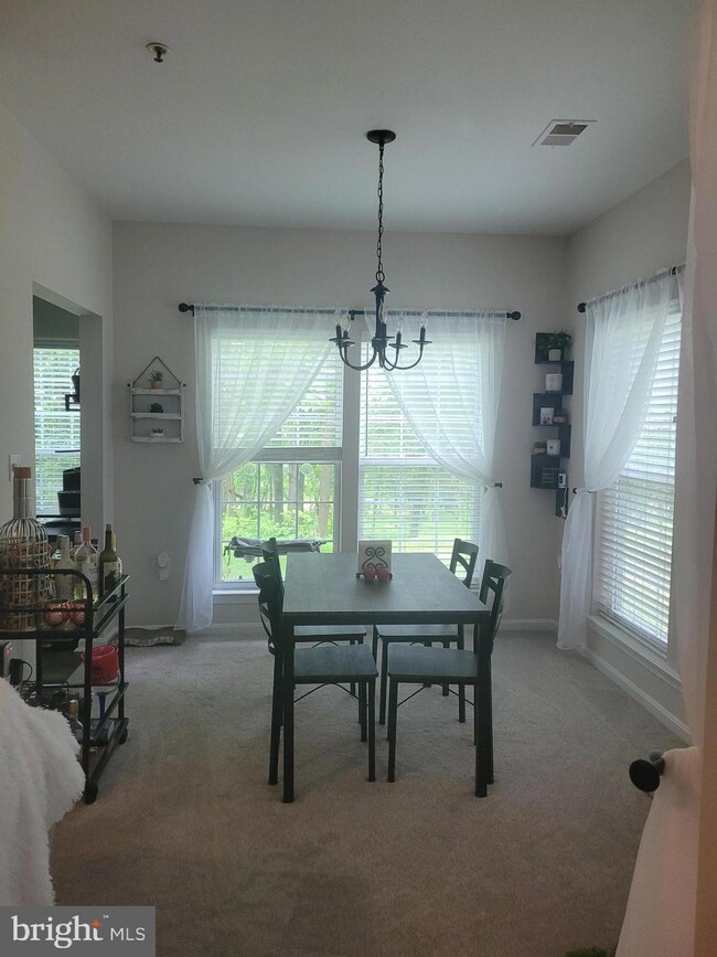 5003 Triplett Rd, Owings Mills, MD 21117 - photo 5