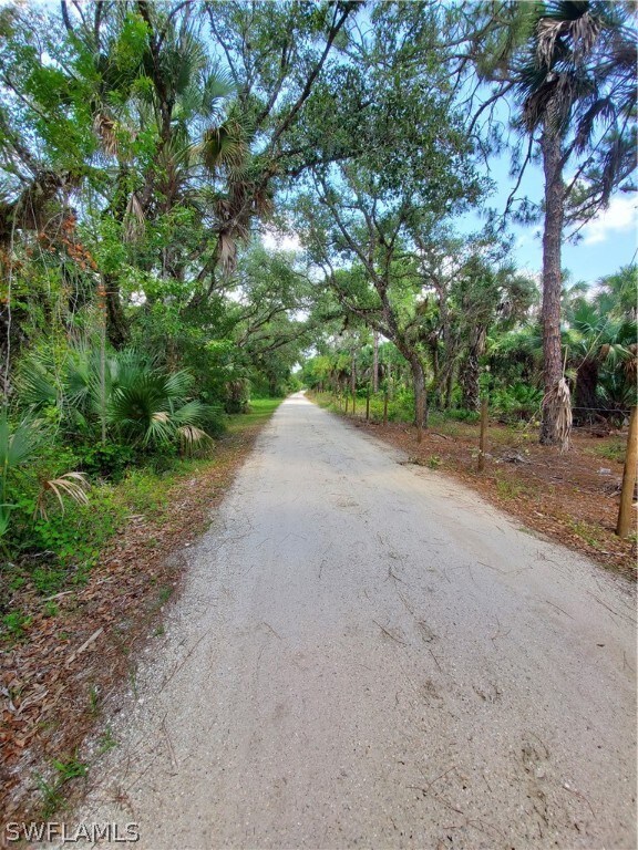3781 Bateman Rd, Alva, FL 33920 - photo 2