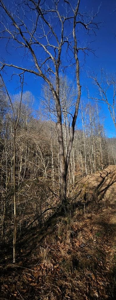 TBD Garrett Creek Rd, Abingdon, VA 24210 - photo 4