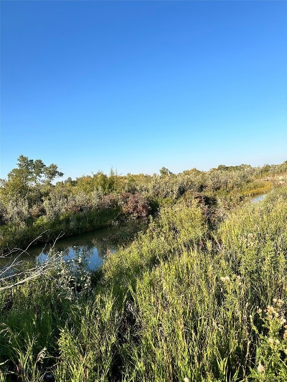 Creek behind property
