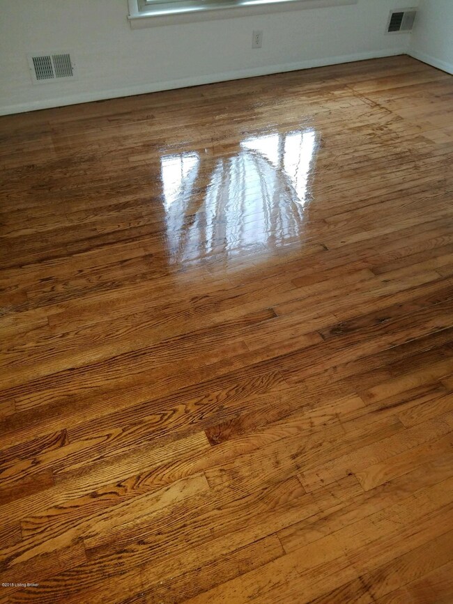 9218 Pagoda Dr, Louisville, KY 40229 - photo 5