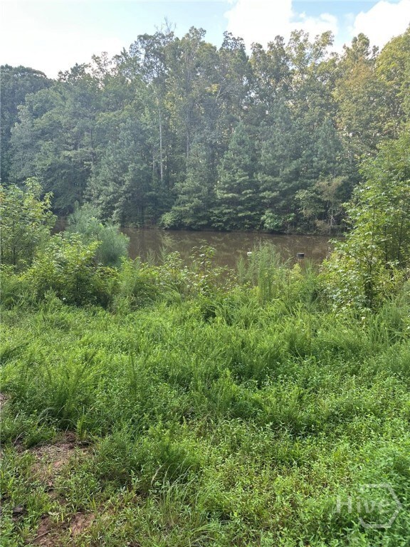 0 Fears Rd unit CL344239, Madison, GA 30650 - photo 3