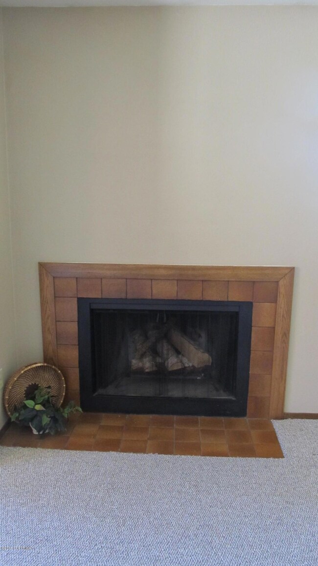 Real wood Fireplace