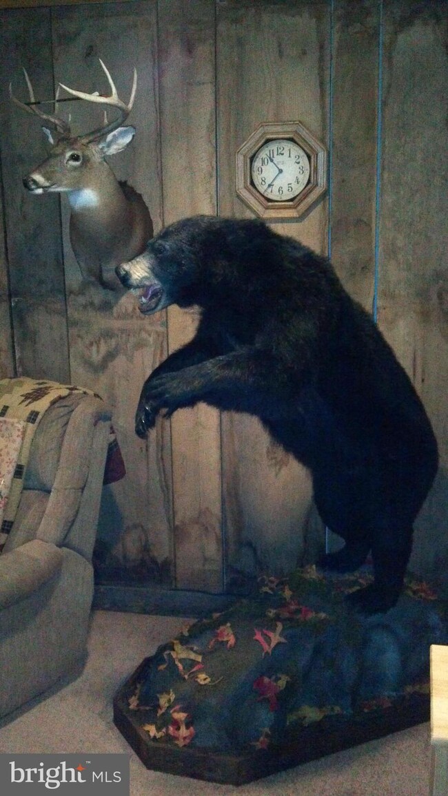 24 Trough Rd, Moorefield, WV 26836 - photo 5