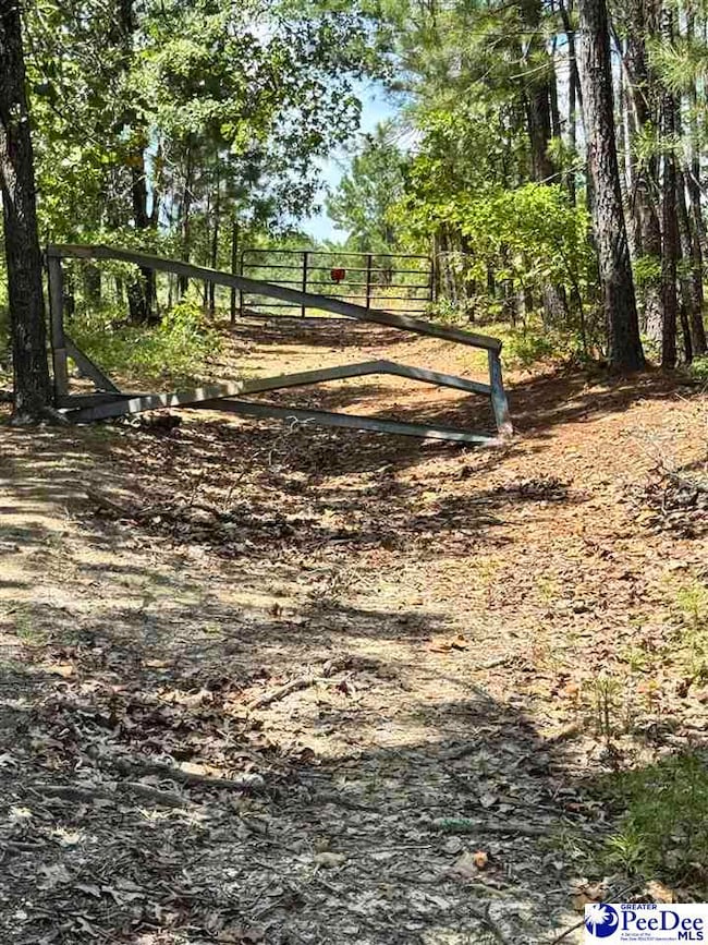TBD Sailclub Rd (Tm#064) State Rd S-13-674, Hartsville, SC 29550 - photo 4
