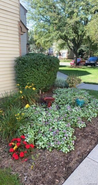 1567 Streamwood Ct unit P55, Rochester Hills, MI 48309 - photo 2