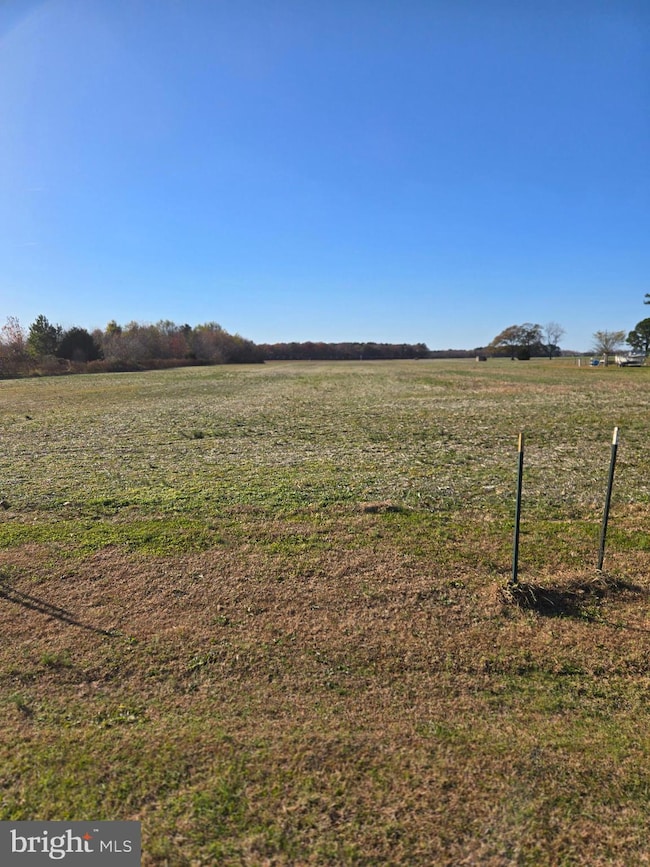 5844 Thompsontown Rd, East New Market, MD 21631 - photo 5