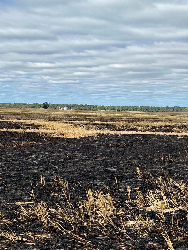 849 Cr 206, Peach Orchard, AR 72453 - photo 3