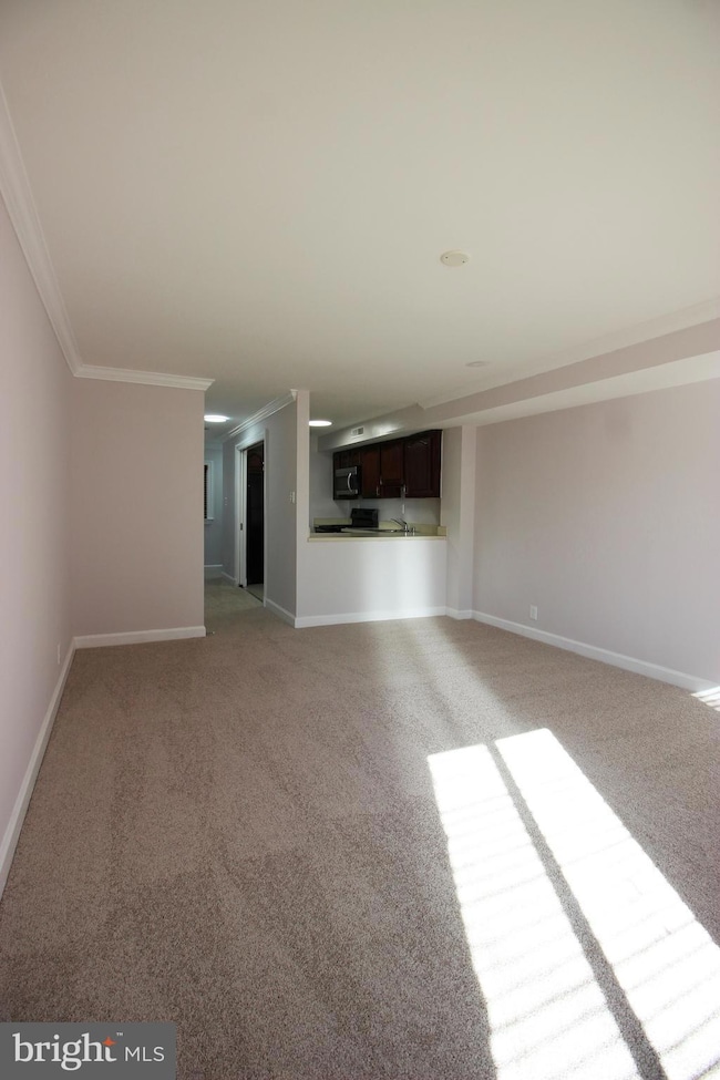 1218 Eton Ct NW unit T10, Washington, DC 20007 - photo 5