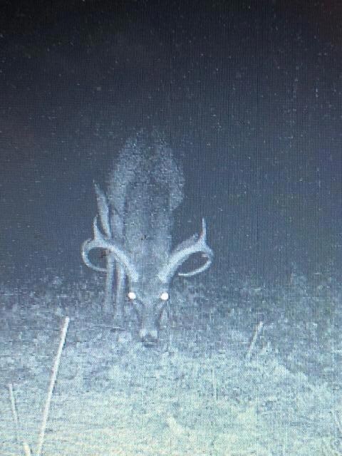 60 Les Hammond Rd, Tylertown, MS 39667 - photo 7