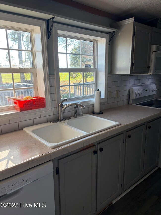 199 Nc 124 W, MacClesfield, NC 27852 - photo 5