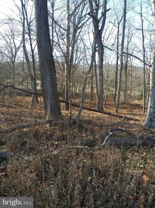 Lot #4 Little Cacapon-Levels Rd, Points, WV 25437 - photo 4