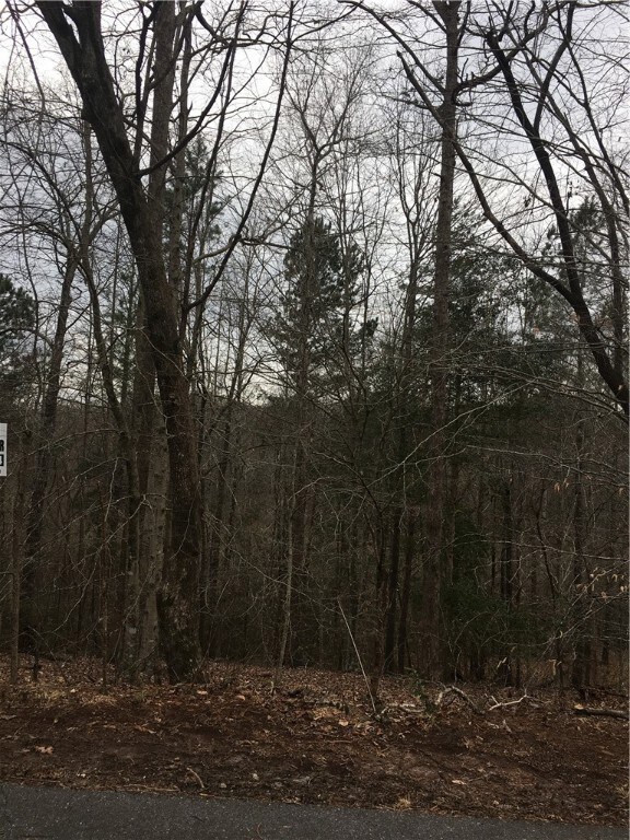 Lot 56 Fox Run Rd, Walhalla, SC 29691 - photo 3