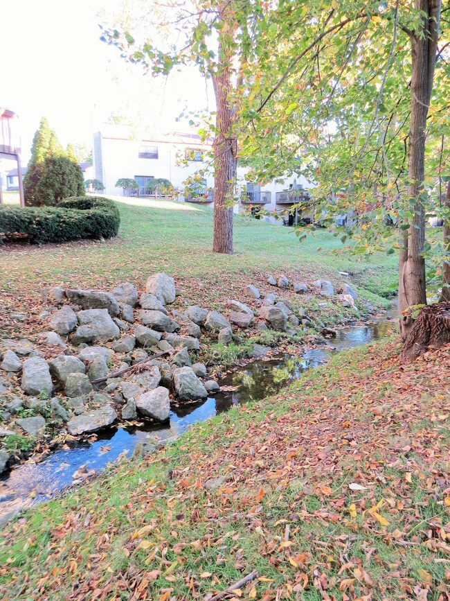 Stream on Lot