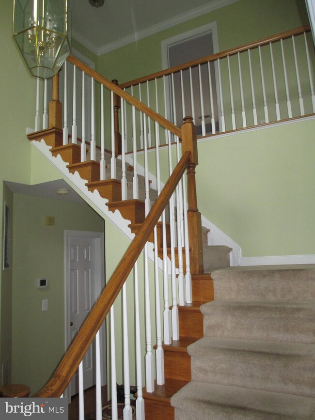 5408 Simpkins Ct, Ellicott City, MD 21043 - photo 5