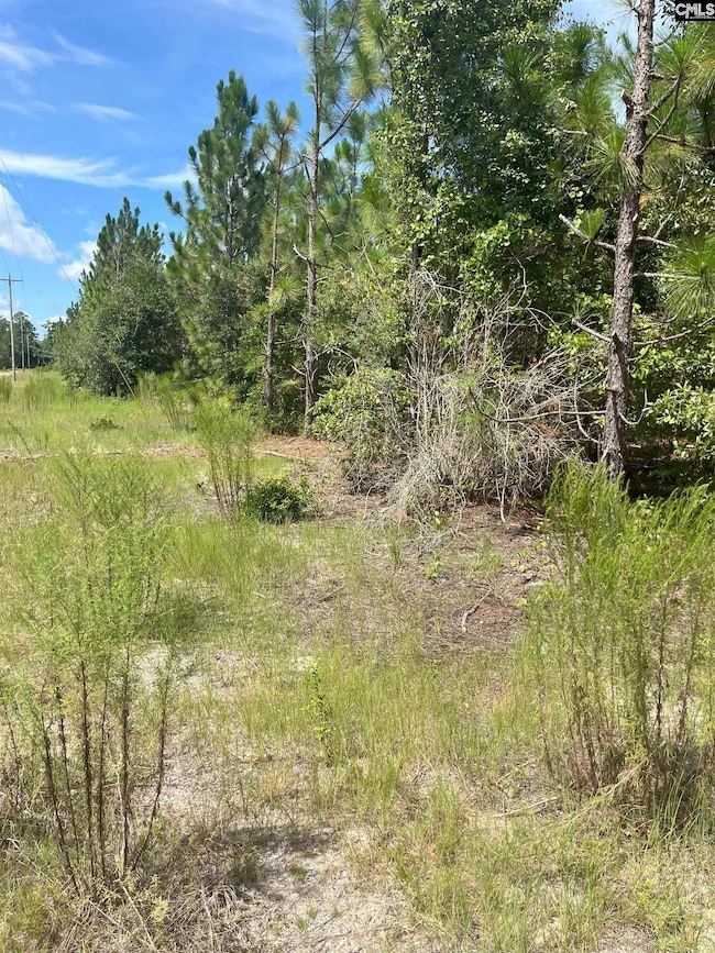 PPF 10 Payne Pond Rd unit PPF 10, Westville, SC 29175 - photo 5