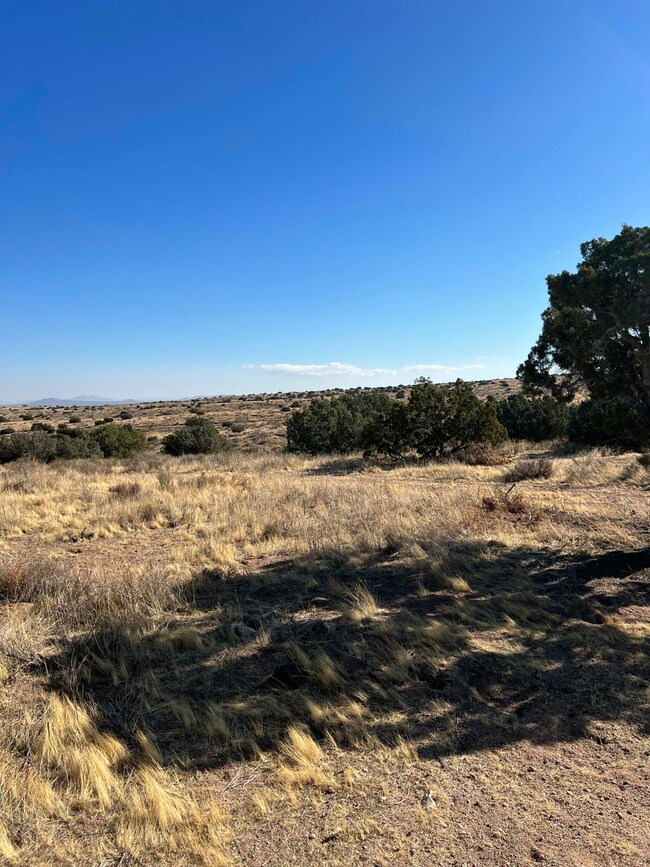 0 Vic Rushing Creek Small unit 25001152, Palmdale, CA 93550 - photo 3