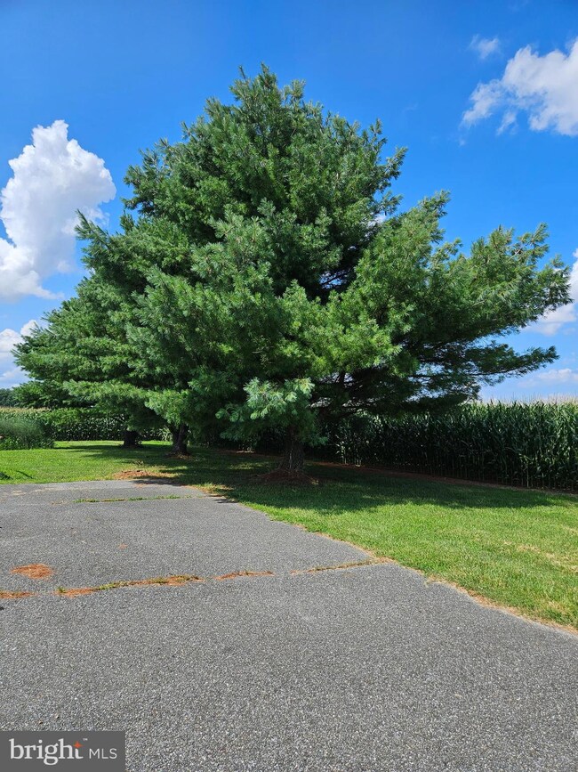 571 Mulberrie Point Rd, Frederica, DE 19946 - photo 2