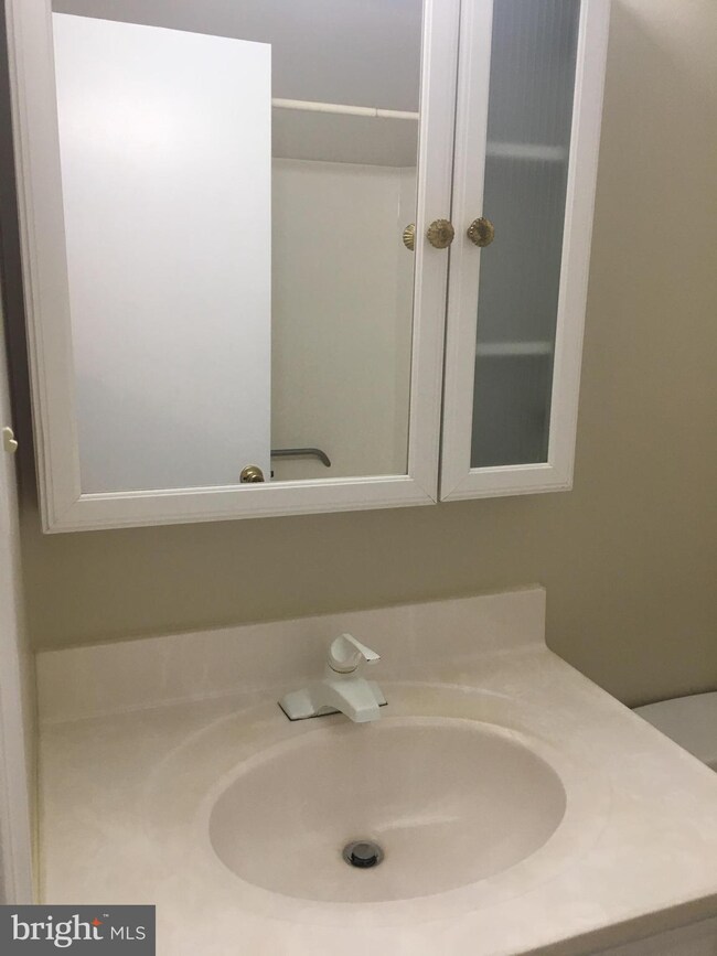 4521 Appledale Ct, Marshall, VA 20115 - photo 7