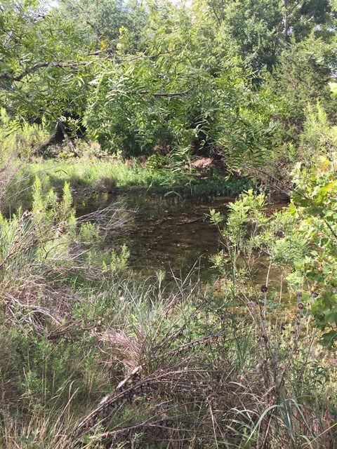 1547 Funf Kinder Rd unit 16, Fredericksburg, TX 78624 - photo 5