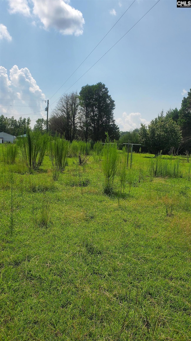 0 Ardis Rd, Pinewood, SC 29125 - photo 6