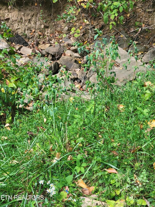 0 Alpine Dr unit 1283013, Sevierville, TN 37876 - photo 7