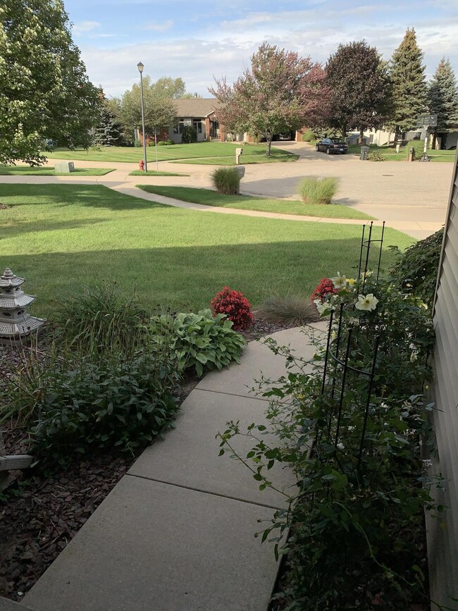 image00005
