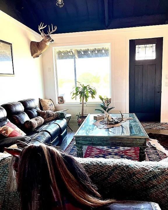 120 Keeter Springs Rd, Springtown, TX 76082 - photo 5