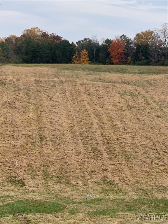 0 S Main St unit 2520156, Caroline, VA 22427 - photo 3