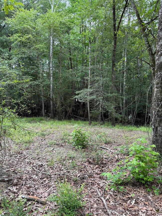 TBD Lot 20 Duck Island Rd unit Duck Island Rd, Gresham, SC 29546 - photo 6