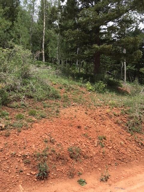 564 W Ski View Dr unit Lot 13-Bk A-Ski View, Brian Head, UT 84719 - photo 7