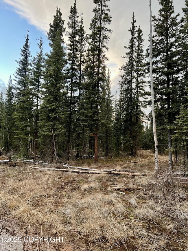 L11 B4 Jack Wade Bill Seaton Rd, Tok, AK 99780 - photo 6