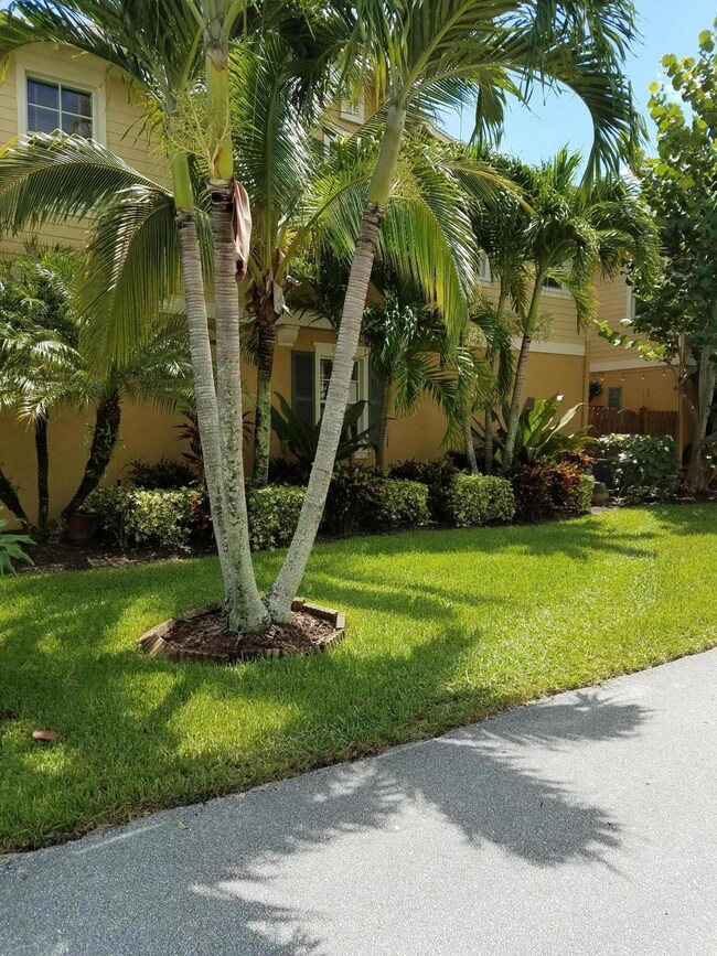 side yard