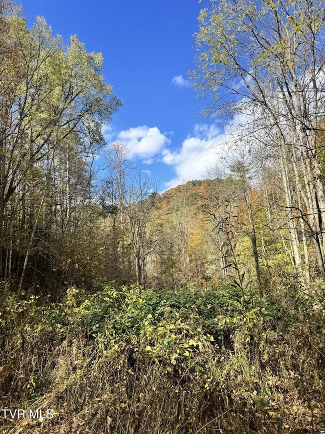 150 Little Branch Rd, Flag Pond, TN 37657 - photo 4