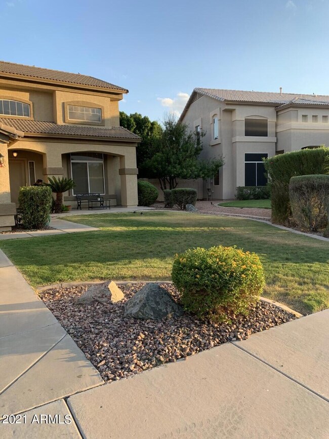 Front yard