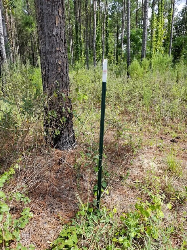 274 Wildwood Rd unit na, West Green, GA 31567 - photo 7