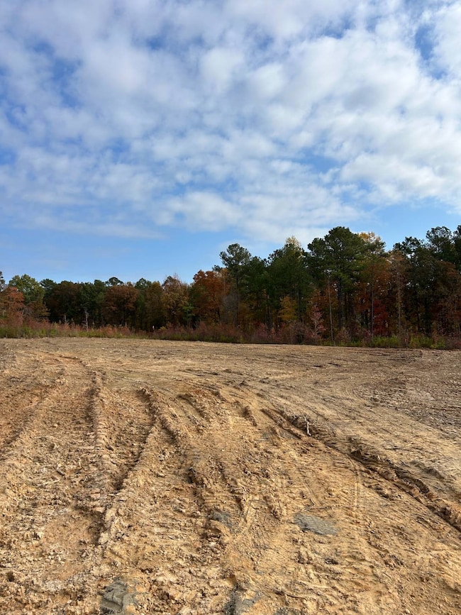 0031 State Road S-40-232 unit 31, Elgin, SC 29045 - photo 4