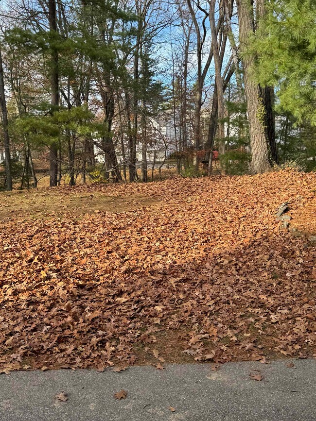 16 High Bridge Hill unit U175, Nashua, NH 03063 - photo 5